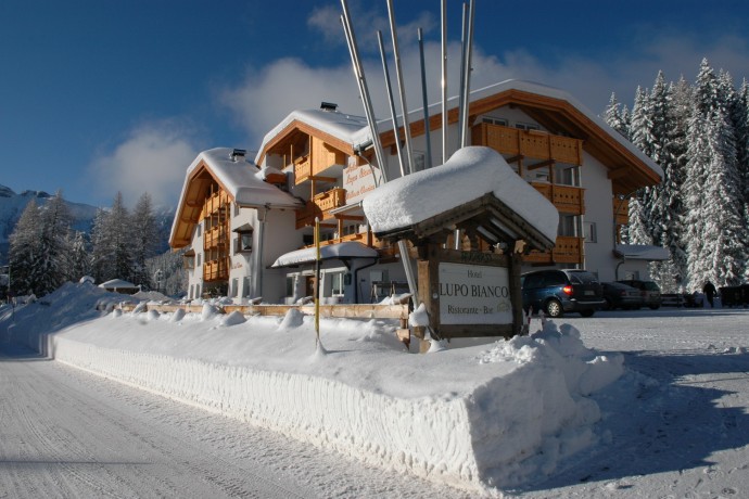 HOTEL LUPO BIANCO                                    (CANAZEI)  (TN)