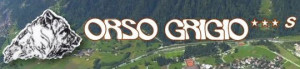 orso-grigio-carisolo-1