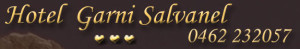 salvanel-cavalese-1