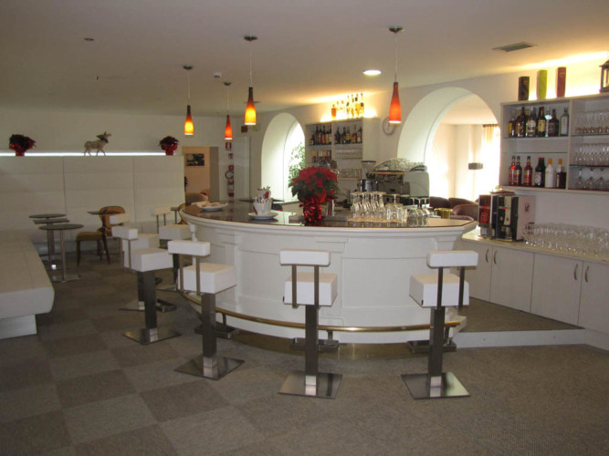 ALPEN HOTEL EGHEL                                                                        (FOLGARIA) (TN)