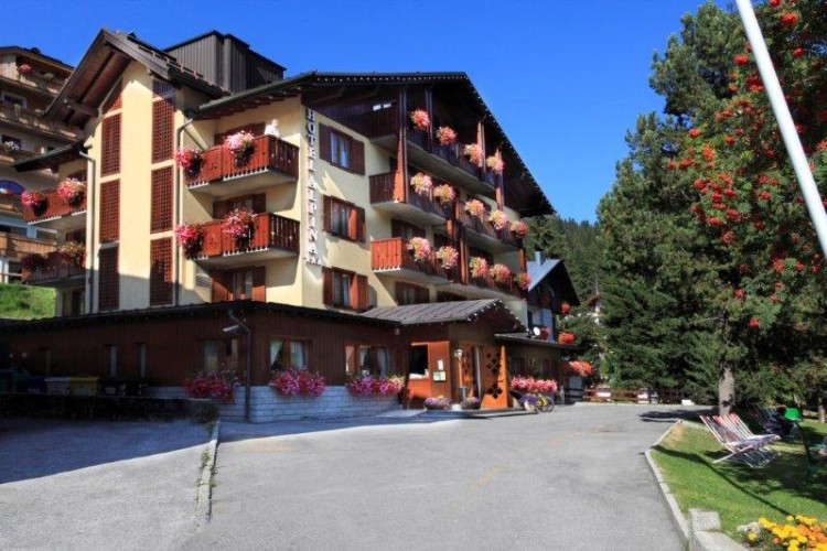 HOTEL  ALPINA        (MADONNA DI CAMPIGLIO)   (TN)