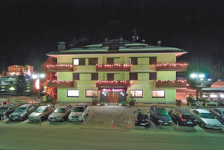 HOTEL  CRISTALLO        (MADONNA DI CAMPIGLIO) (TN)