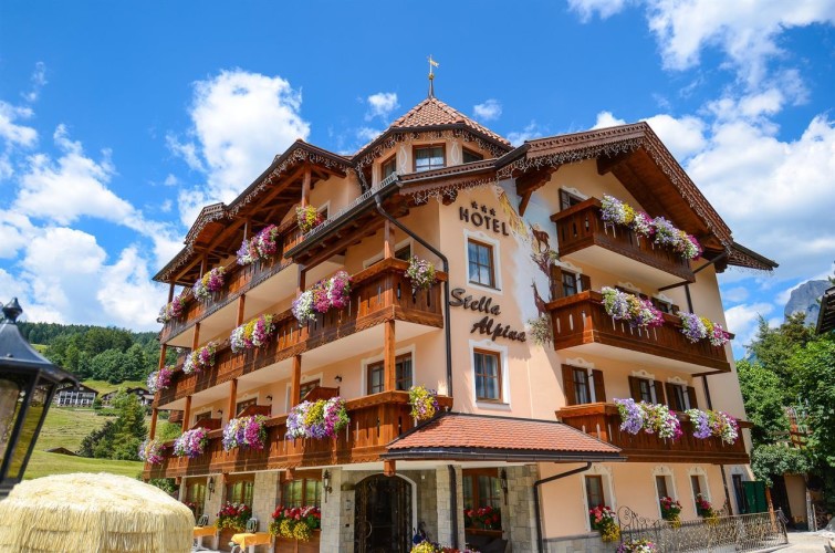 HOTEL STELLA ALPINA                          (MOENA) (TN)