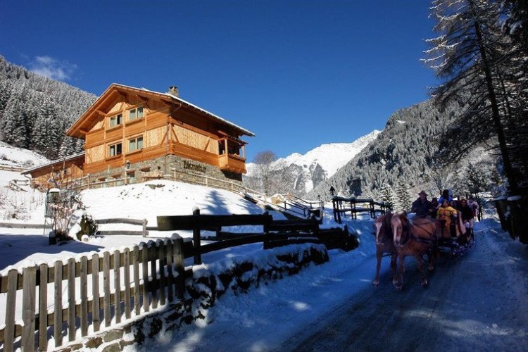 HOTEL CHALET ALPENROSE                          (COGOLO DI PEJO) (Tn)