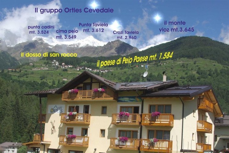 HOTEL ORTLES                         (COGOLO DI PEJO)  (TN)