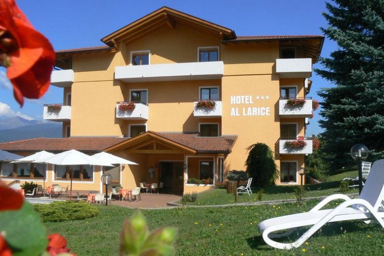 HOTEL & APPARTAMENTI AL LARICE                  (RONZONE) (TN)