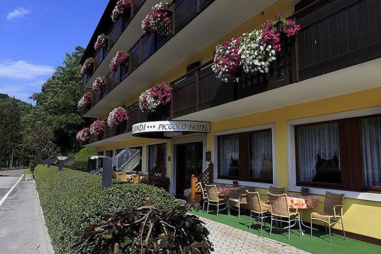 PICCOLO HOTEL ORLANDI              (COMANO TERME)  (TN)